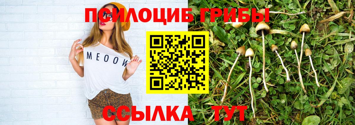Псилоцибиновые грибы ЛСД Туапсе