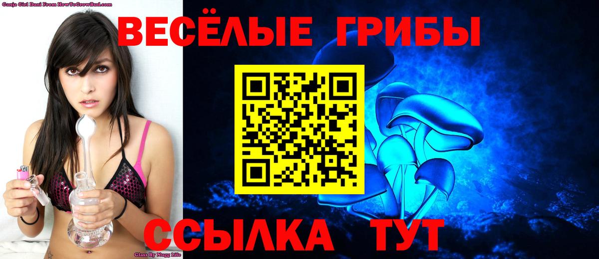 Туапсе  Галлюциногенные грибы Psilocybine cubensis  Вход с VPN 